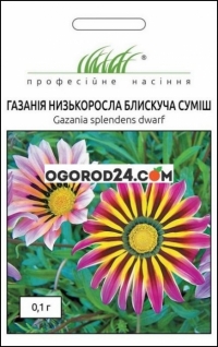 Семена газания блестящая, низкорослая смесь