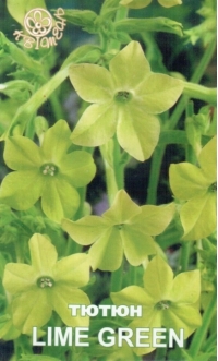 Семена табака LIME GREEN