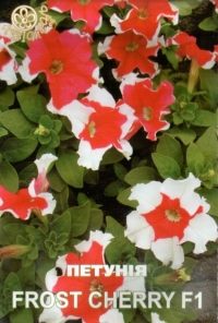 Семена петунии Frost Cherry F1
