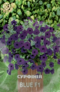 Семена сурфинии BLUE F1
