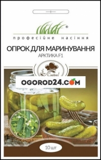 Огурец для маринования Арктика F1,
