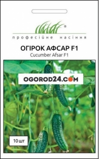 Семена огурца Афсар F1