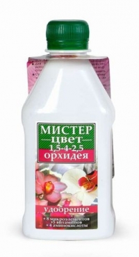 Мистер Цвет орхидея