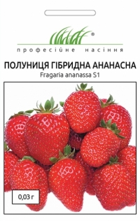 Клубника гибридная Ананасная