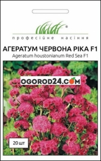 Семена агератума Хоустона Красная река F1