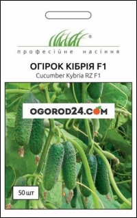 Семена огурца Кибрия F1