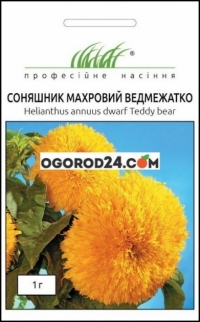 Семна подсолнечника махровый Медвежонок