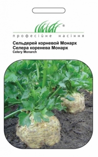 Семена сельдерея корневой Монах
