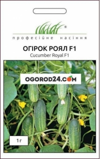 Семена огурца Роял F1