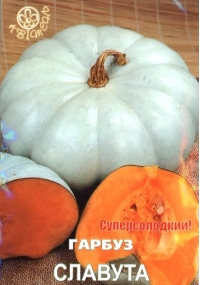 Семена тыква Славута