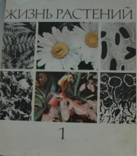 Жизнь растений том1