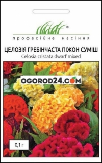 Семена целозии гребенчатой Пижон