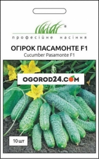 Семена огурца Пасамонте F1