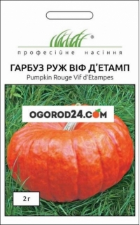 Семена тыквы Руж Виф Дьетамп