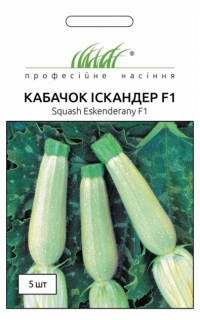 насіння кабачок Іскандер F1