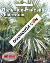 Пальма китайская Левистония