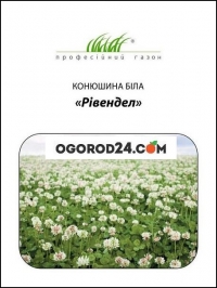 Клевер декоративная Ривендел