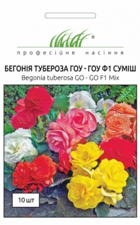 Семена бегонии тубироза ГОУ - ГОУ F1