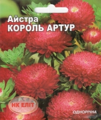 Семена астры Король Артур