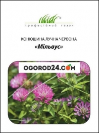 Клевер декоративная Мильвус 50 гр