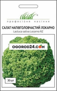 Салат лолло бионда Локарно