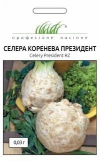 Сельдерей корневой Президент
