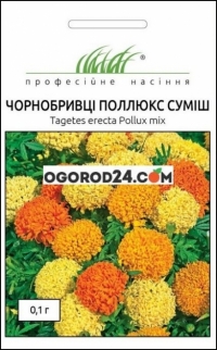 Семена чернобривцев Поллюкс, смесь