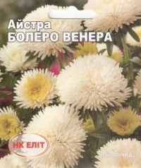 Семена астры Болеро Венера