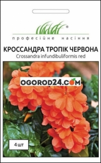 Семна Кроссандра Тропик красная