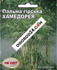 Пальма горная Хамедорея