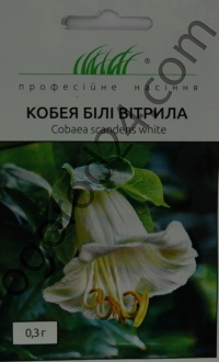 Семена кобеи белой