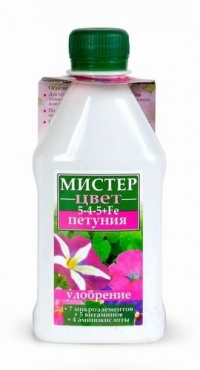 Мистер Цвет петуния