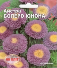 Семена астры Болеро Юнона
