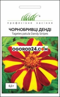 Семена чернобривцев Денди