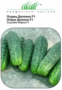 Семена огурца ДЕЛПИНА F1
