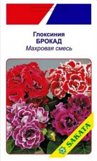 Семена глоксинии “Брокард” махровая смесь