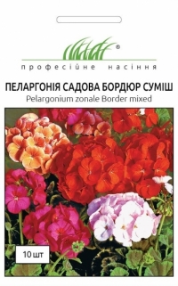 Семена пеларгонии бордюрной
