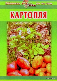 Картошка