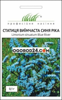 Семена статица выемчатая Синия река