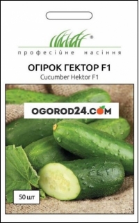 Семена огурца Гектор F1
