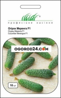 Семена огурца Меренга F1