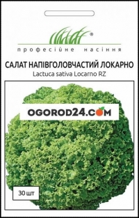 Салат айсберг Фортунас RZ