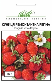 Семена земляники  РЕГИНА