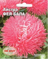 Семена астры Фея Бала