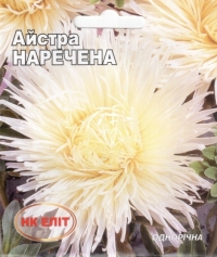 Семена астры Невеста