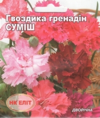 Семена гвоздика Гренадин смесь