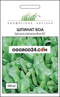 насіння шпинат Боа