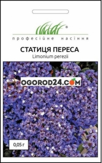 Семена статица Переса