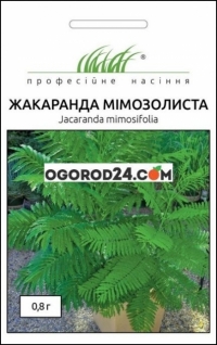 Семена Жакаранда мимозолиста
