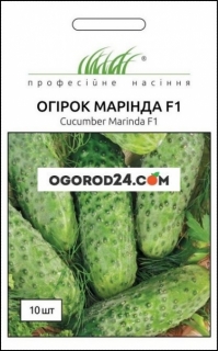 Семена огурца Маринда F1